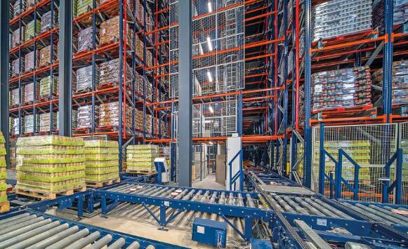 一次全面体检，提高仓储效率与安全双重保障